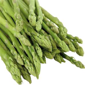 Asperge Verte